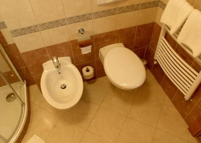 Doubicke Gasthuis 3*